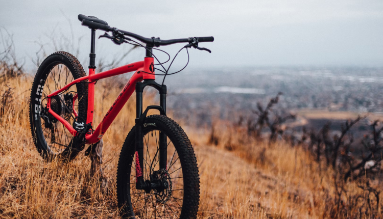 Keep calm this isn't the end of the world, the preview is just missing.